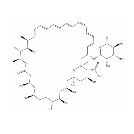 Amphotericin B Polyene Antifungal Drugs